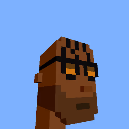 Punksvoxels Wrapped