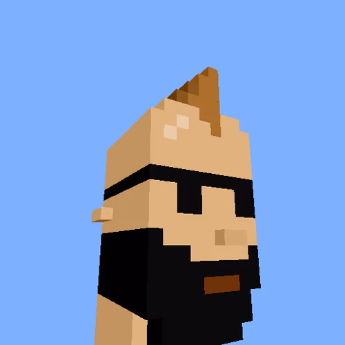 PunkVoxels #0358