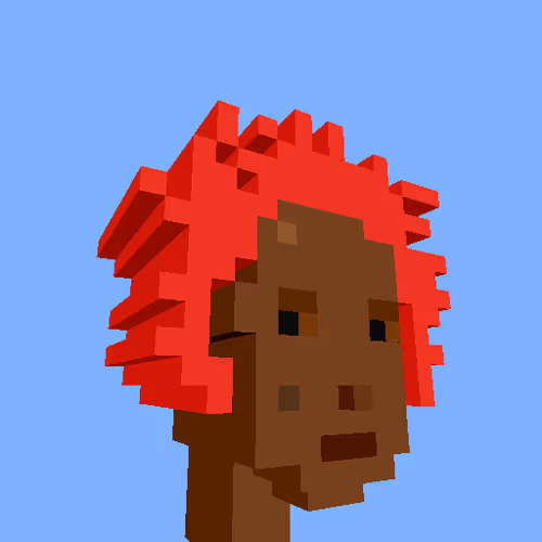 Punksvoxels Wrapped