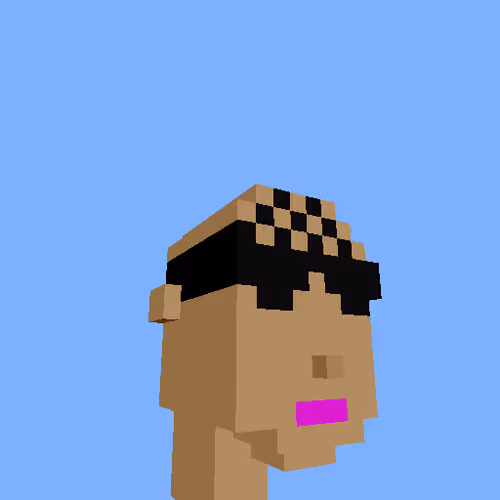 Punksvoxels Wrapped