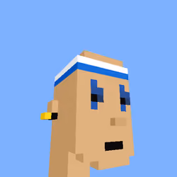 PunkVoxels #9751