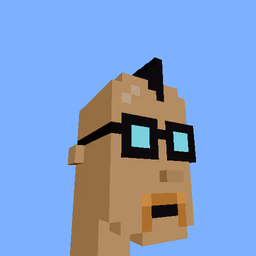 Punksvoxels Wrapped