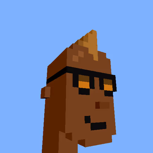 Punksvoxels Wrapped