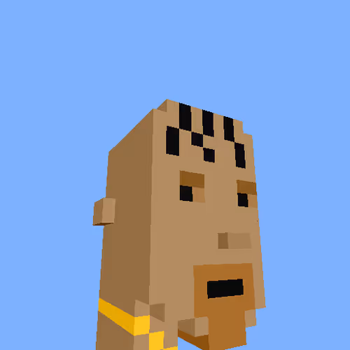 Punksvoxels Wrapped