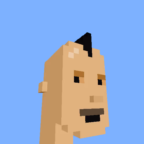 Punksvoxels Wrapped