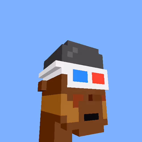 Punksvoxels Wrapped
