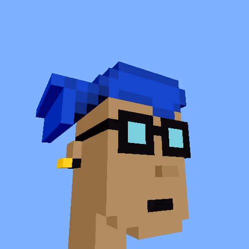 Punksvoxels Wrapped