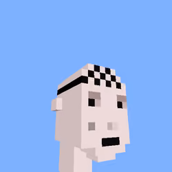 PunkVoxels #6383
