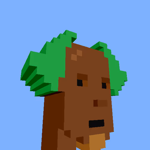 Punksvoxels Wrapped