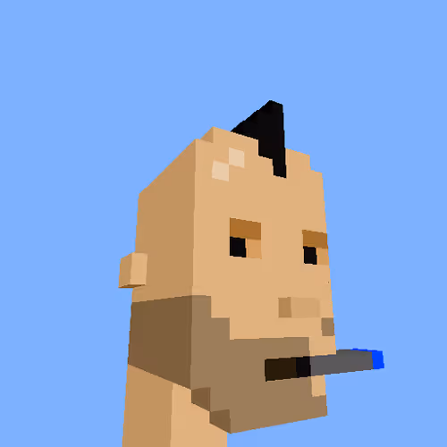Punksvoxels Wrapped