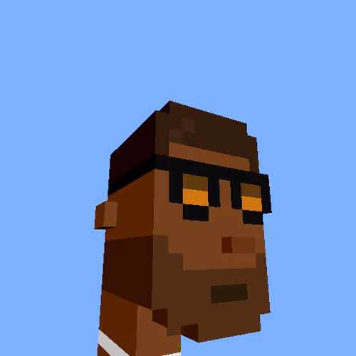 Punksvoxels Wrapped