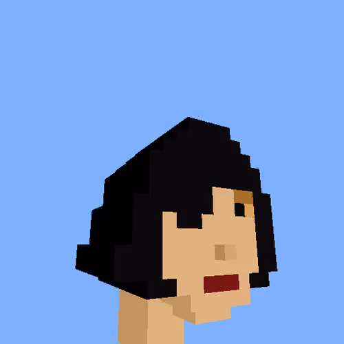 Punksvoxels Wrapped