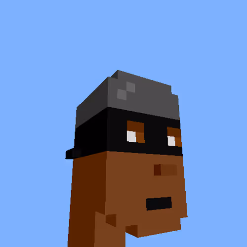 Punksvoxels Wrapped