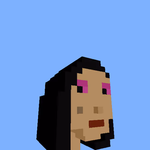 Punksvoxels Wrapped