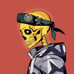 Skull Zuki #545