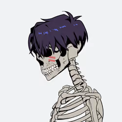 Skull Zuki #2863