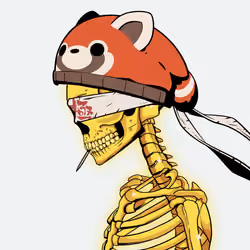 Skull Zuki #812