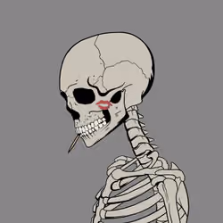Skull Zuki #3269