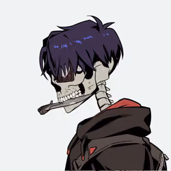 Skull Zuki #1735