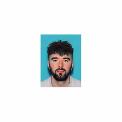 Silver Fade, Happy Disaster