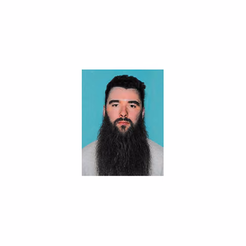 Teal Beard Chronicle
