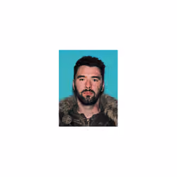 Sagas Under the Fur Collar