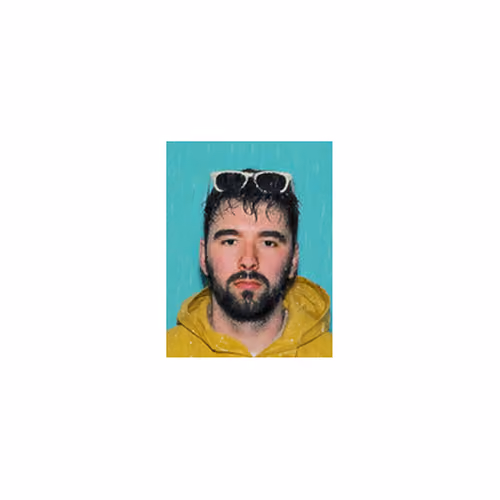 Forecast in a Yellow Hoodie