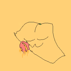 3243