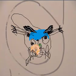 8024