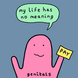 1037