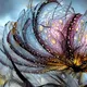 Blossom