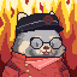 KumaBoss #4364