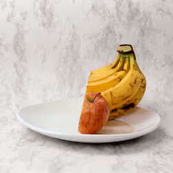 Studio Still Life #4