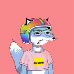 Lunatic Foxes #9466