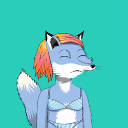 Lunatic Foxes #7272