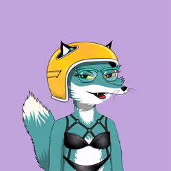 Lunatic Foxes #9878