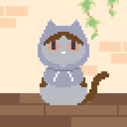 Nightcat #205