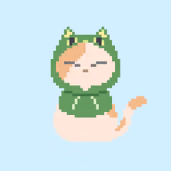 Nightcat #2504