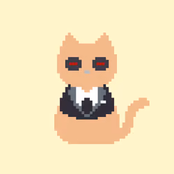 Nightcat #2497