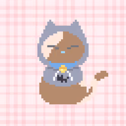 Nightcat #2501