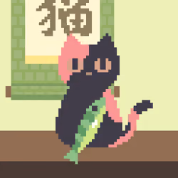Nightcat #1881