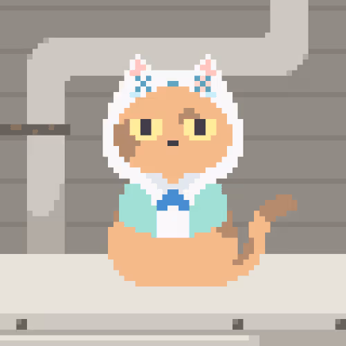 Nightcatzclub