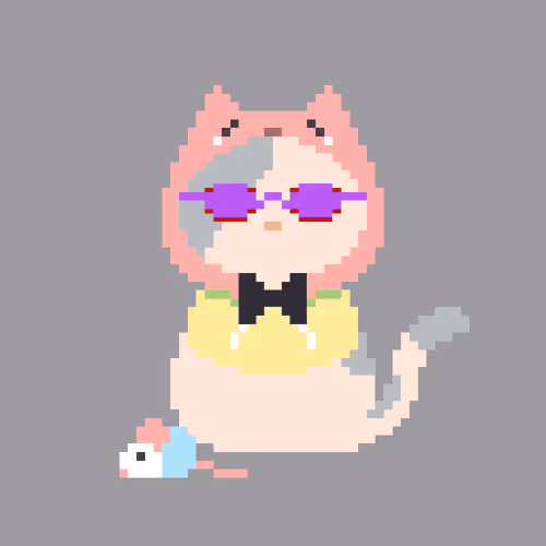 Nightcatzclub
