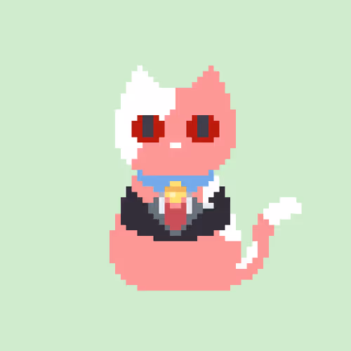 Nightcatzclub