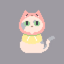 Nightcat #1879
