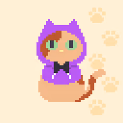 Nightcat #2502