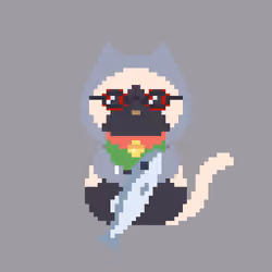 Nightcat #2500