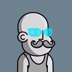 NPC #1711