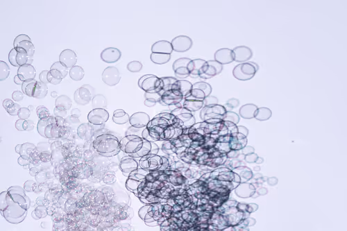 Bubbles By Wx