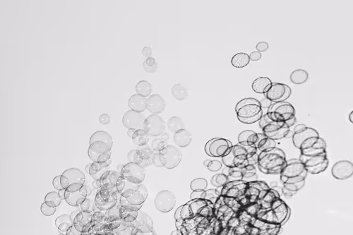 Bubbles By Wx